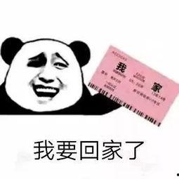 大把钞票的表情包,财富与幽默的完美融合